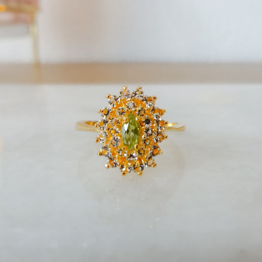 Parisa | Ovale cluster ring